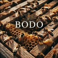 Nyers propolisz vásárlása, nyers propolisz Bodó Méhészet, vásároljon nyers porpoliszt termelőtől, vásároljon nyers propoliszt a Bodó Méhészettől.