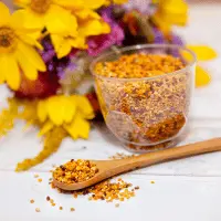 Virágpor, Virágporhatásai, Virágpor allergia, Virágpor Bodó Méhészet, Virágpor ár, vásárlás, termelőtől, rendelés, jótékony hatásai