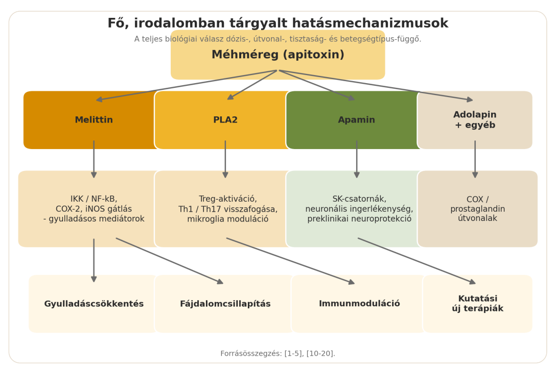 A méhméreg fő komponenseihez kapcsolt feltételezett gyulladásos, fájdalmi és immunológiai hatásmechanizmusokat bemutató ábra