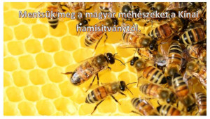 Mentsük meg a magyar méhészeket