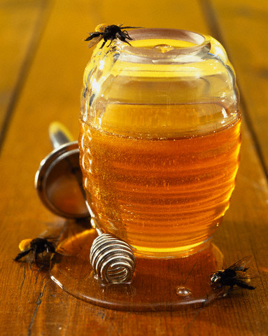 vaddohányméz-selyemfű-méz-BodóMéhészet